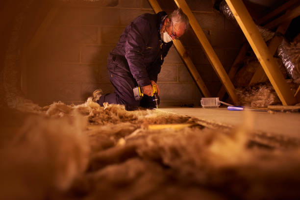 Best Insulation Installation Services in Camden, AR